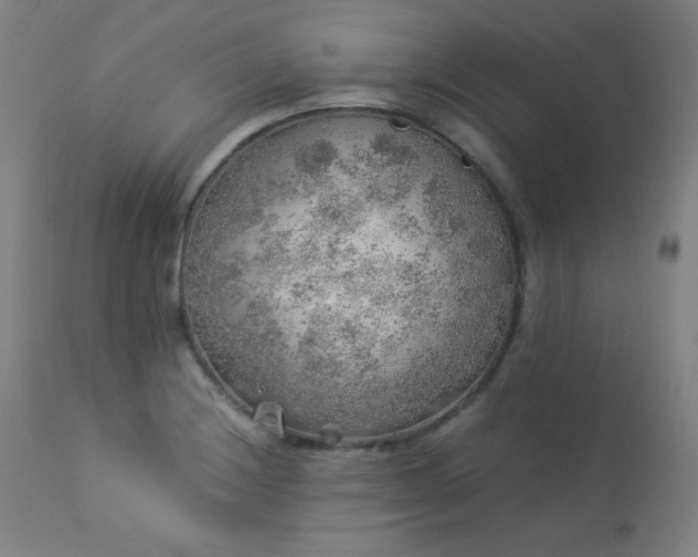 X0000114171228200910081514
