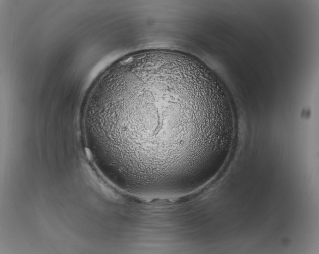 X0000114171230200910081514