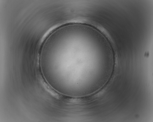 X0000114171232200910081514
