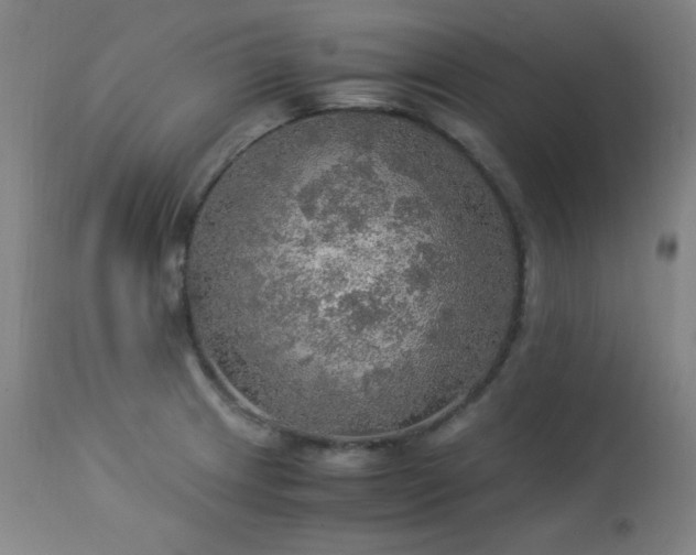 X0000114171233200910081514