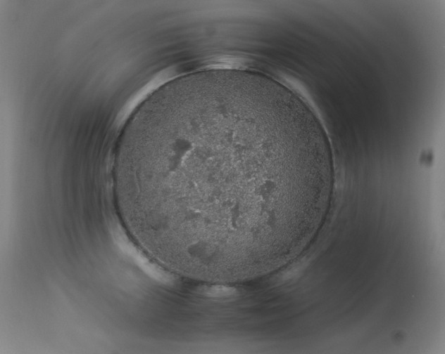 X0000114171235200910081514
