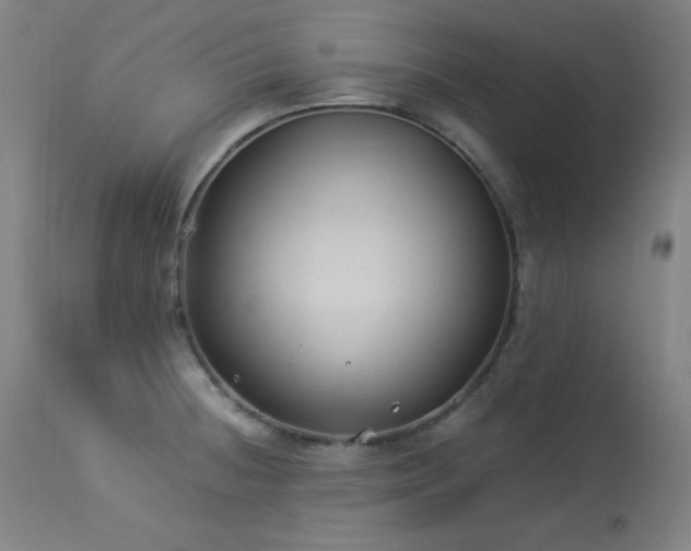 X0000114171236200910081514