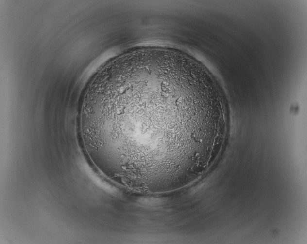 X0000114171237200910081514
