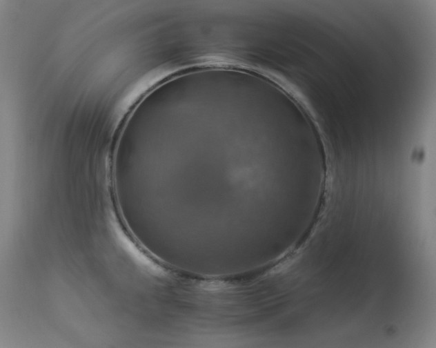 X0000114171239200910081514