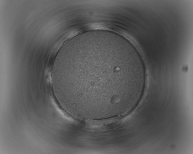 X0000114171241200910081515