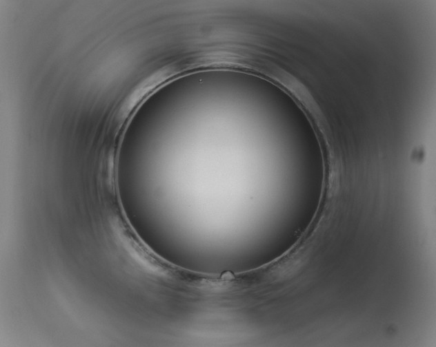 X0000114171242200910081515