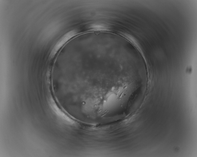 X0000114171243200910081515