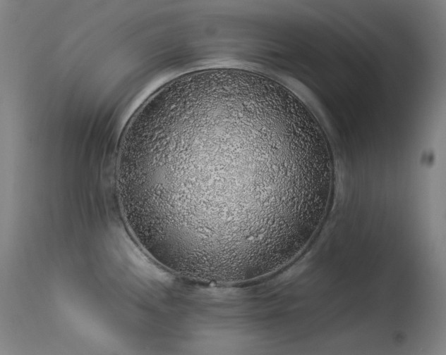 X0000114171244200910081515