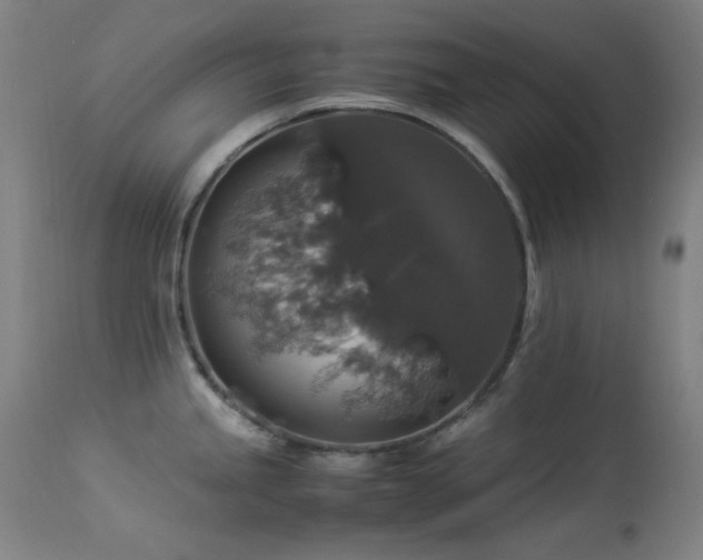 X0000114171245200910081515