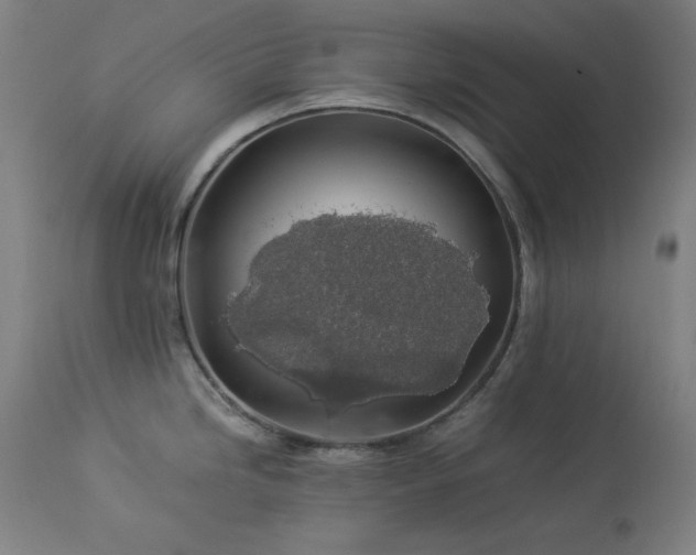 X0000114171246200910081515