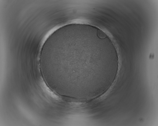X0000114171248200910081515