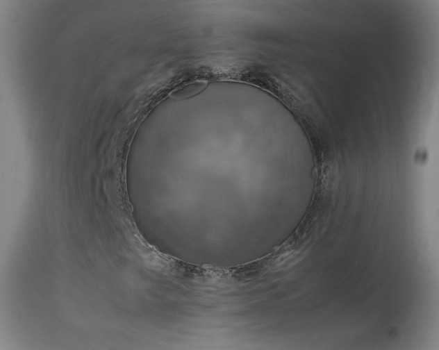 X0000114171249200910081514