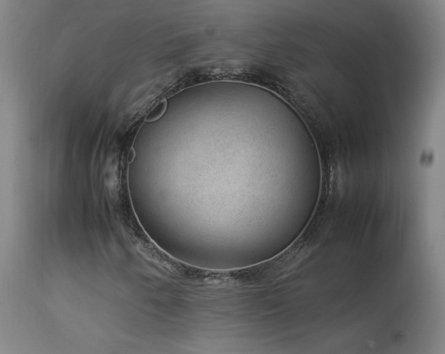 X0000114171250200910081514