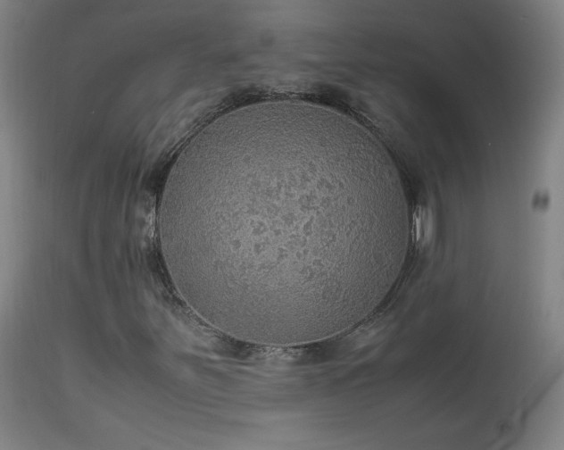 X0000114171251200910081514