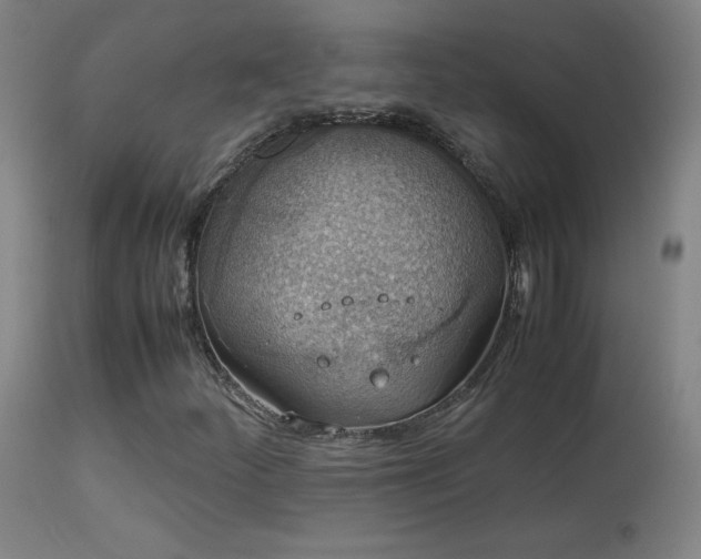 X0000114171252200910081514