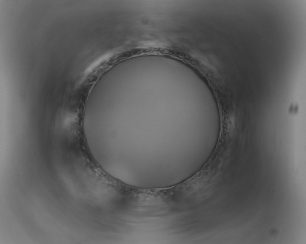 X0000114171254200910081514