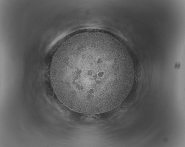 X0000114171255200910081514
