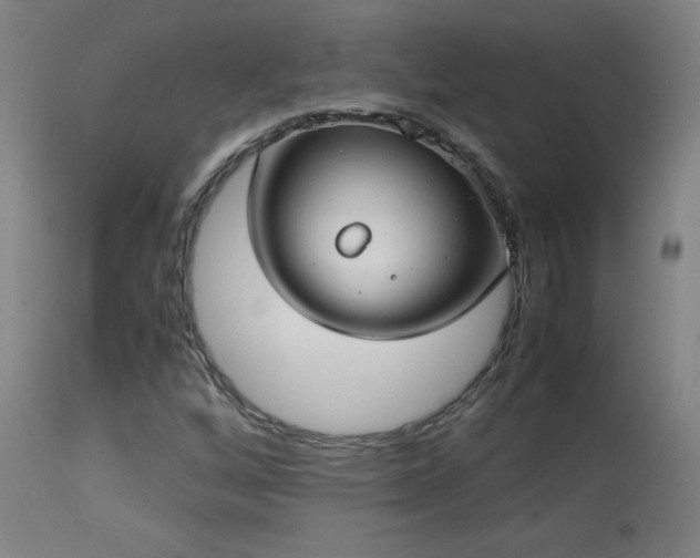 X0000114171256200910081514
