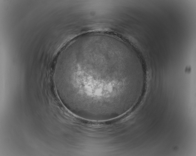 X0000114171257200910081514
