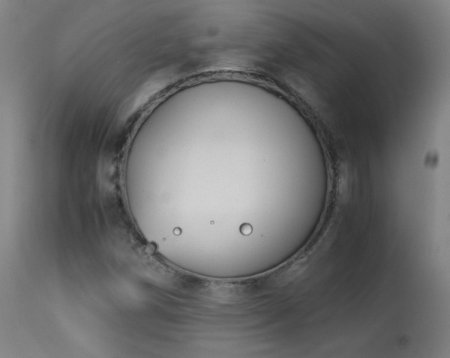 X0000114171258200910081514