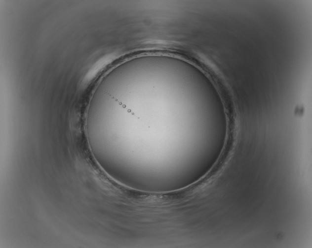 X0000114171259200910081514