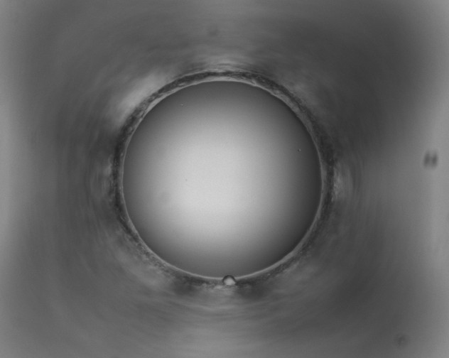 X0000114171261200910081514
