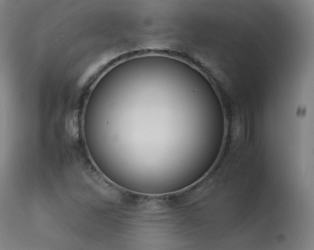 X0000114171262200910081514