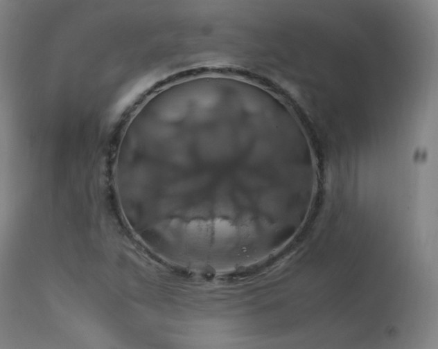 X0000114171263200910081514