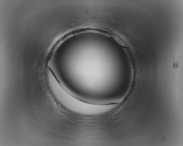 X0000114171264200910081514