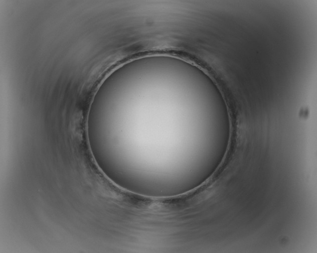 X0000114171265200910081514