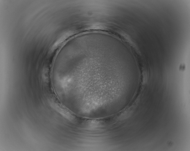 X0000114171266200910081514