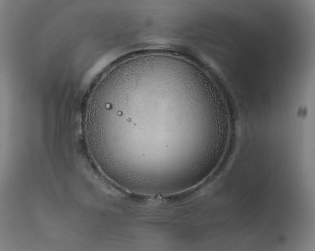 X0000114171267200910081514