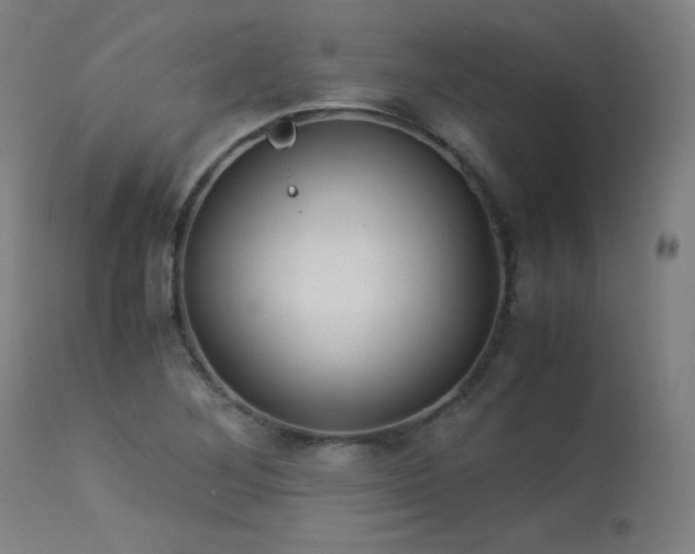 X0000114171268200910081514