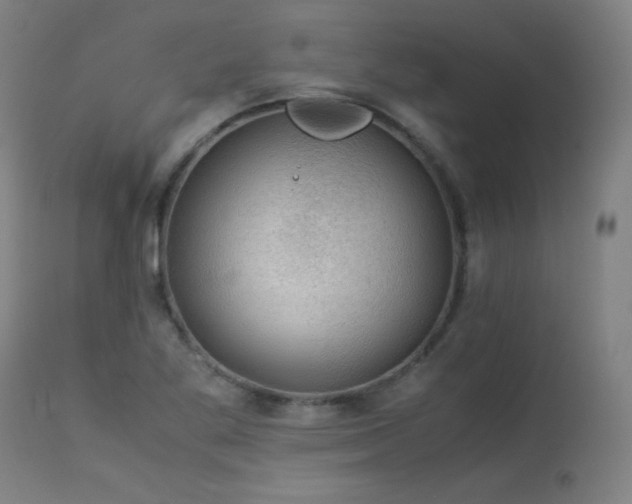 X0000114171269200910081514