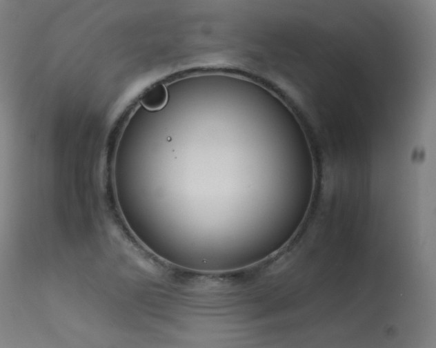 X0000114171270200910081514