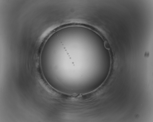 X0000114171271200910081514