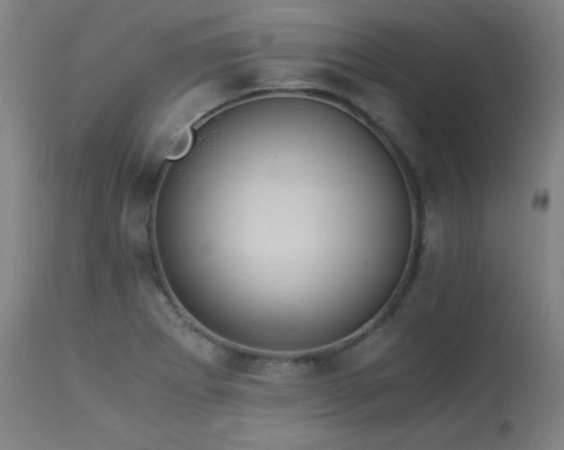 X0000114171273200910081514
