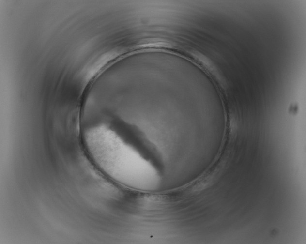 X0000114171274200910081514