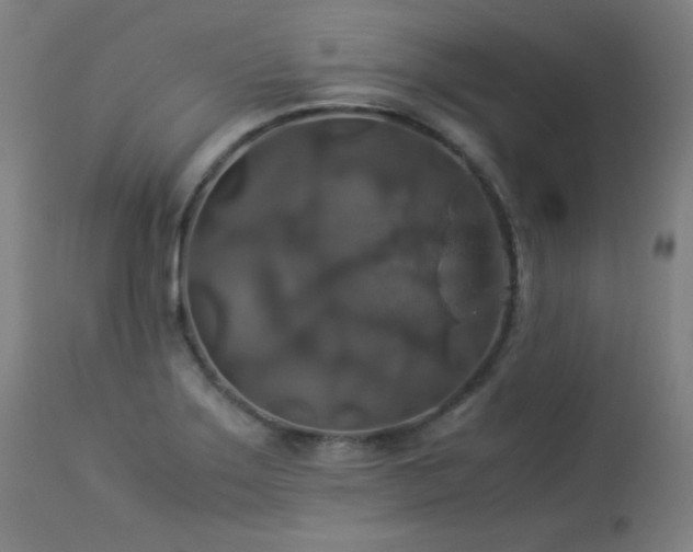 X0000114171275200910081514