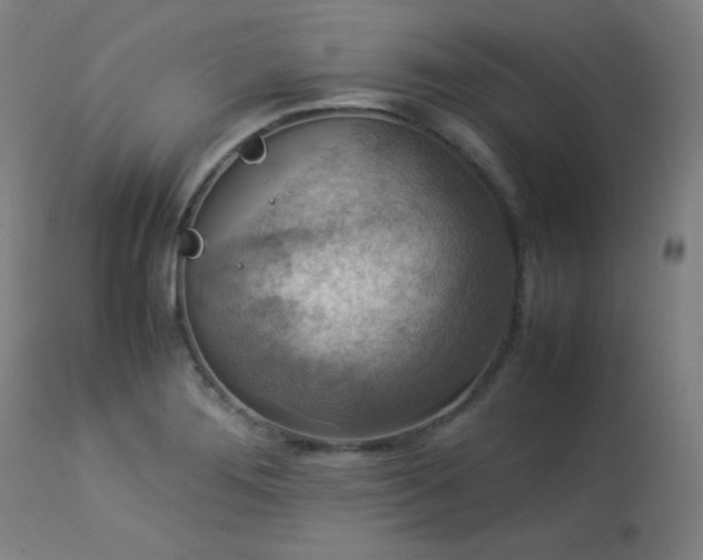 X0000114171276200910081514
