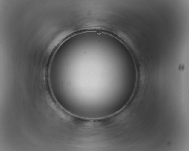 X0000114171277200910081514