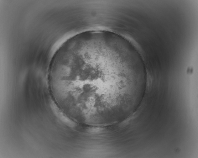X0000114171278200910081514