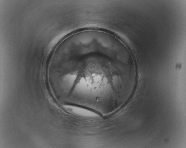 X0000114171279200910081514