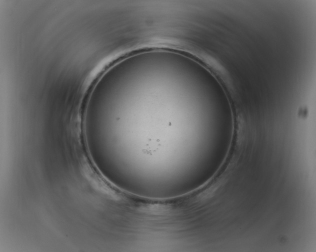 X0000114171280200910081514