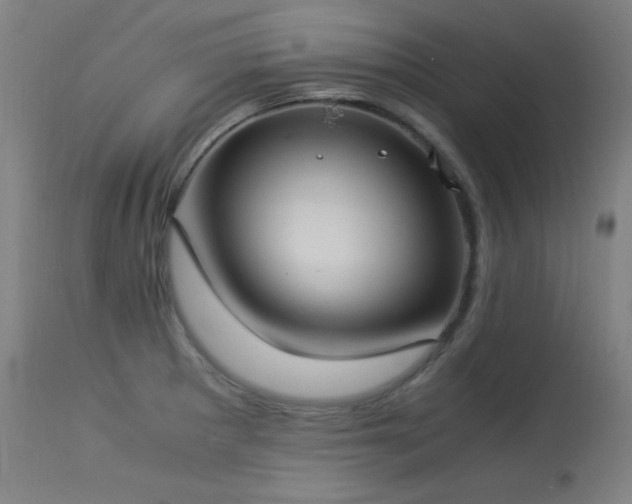 X0000114171281200910081514