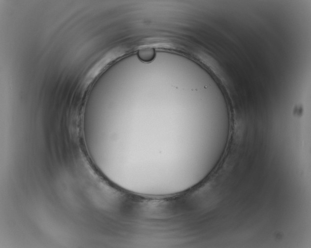 X0000114171282200910081514