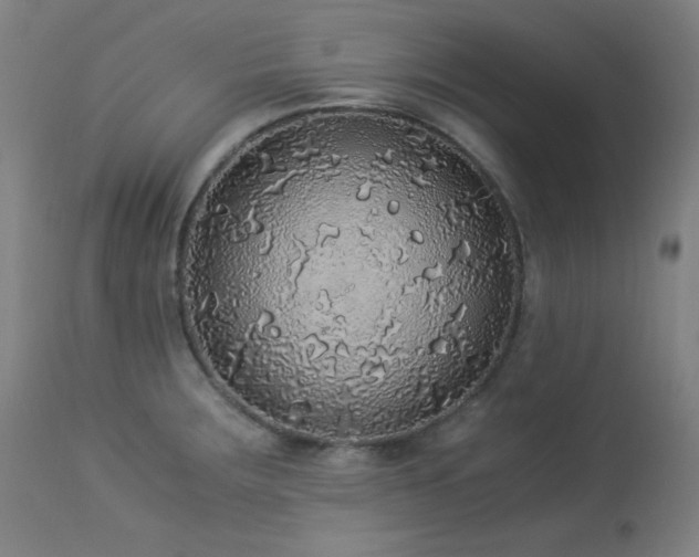 X0000114171283200910081513