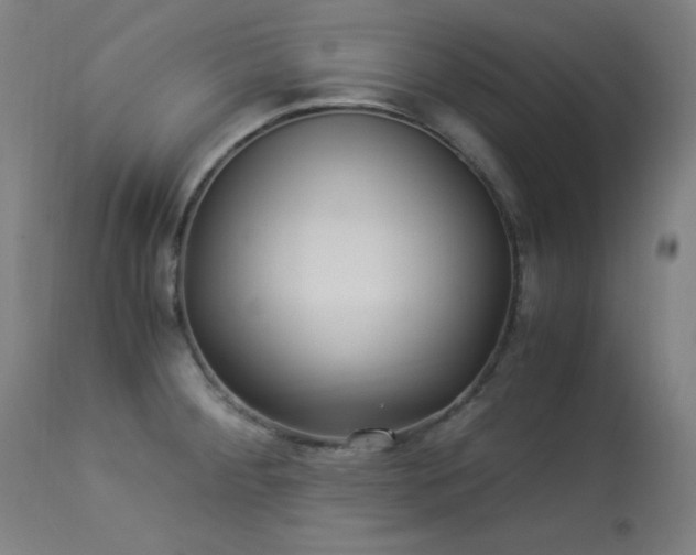X0000114171284200910081513