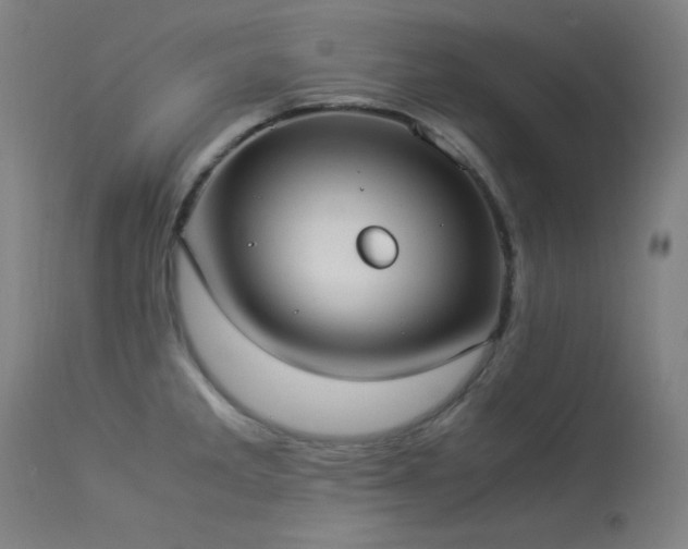 X0000114171285200910081513
