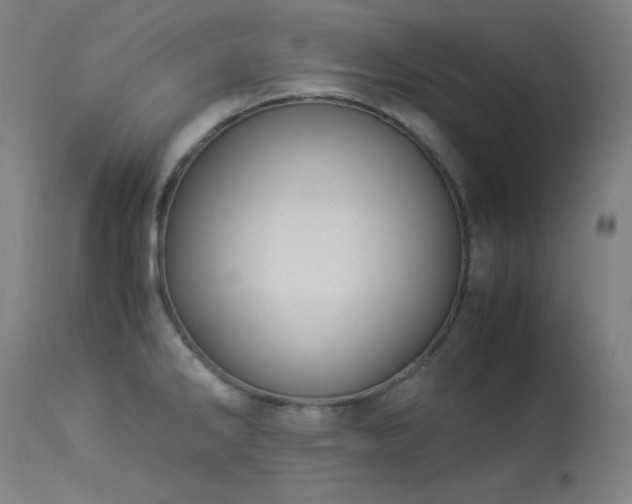 X0000114171286200910081513
